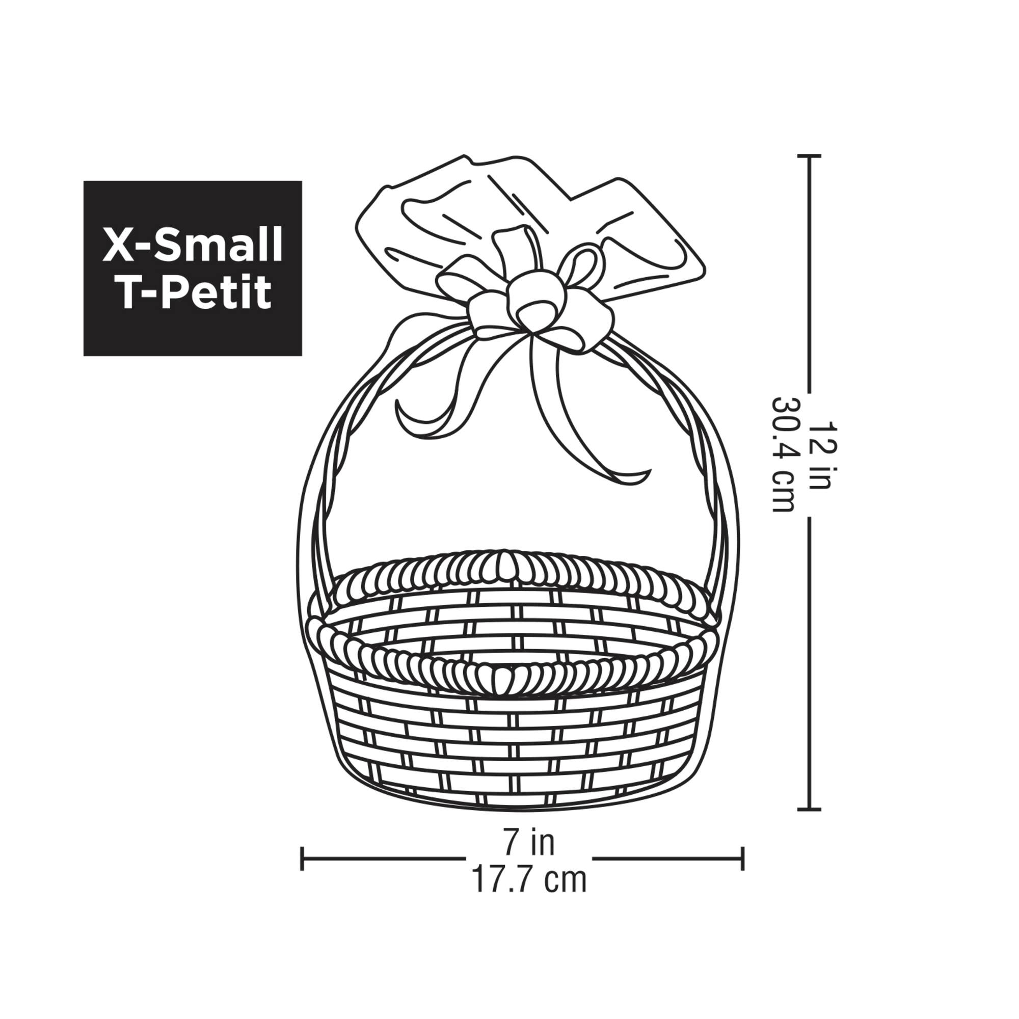 Clear Basket Gift Bags by Celebrate It